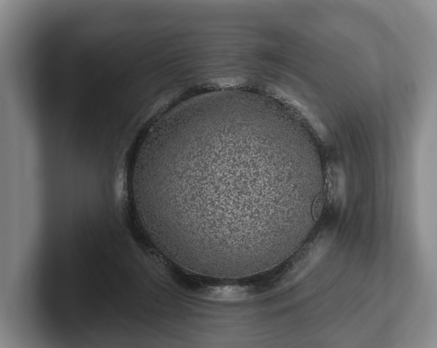 X0000102460212200808151414