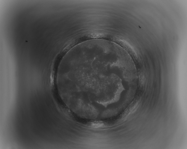 X0000102460214200808151414