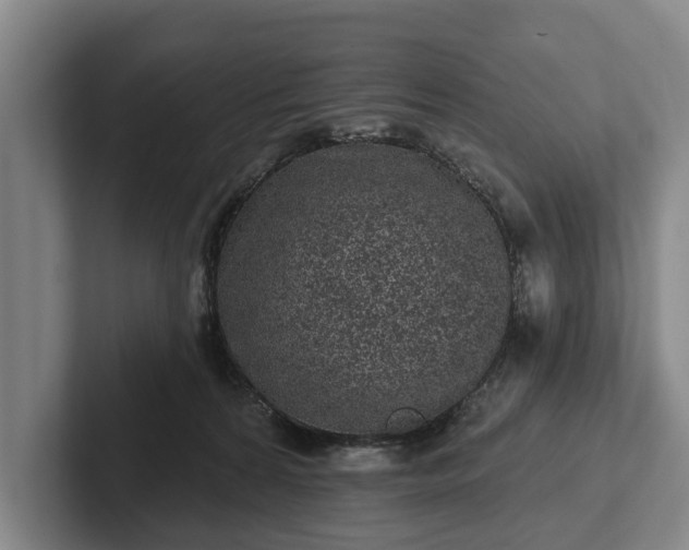 X0000102460224200808151414