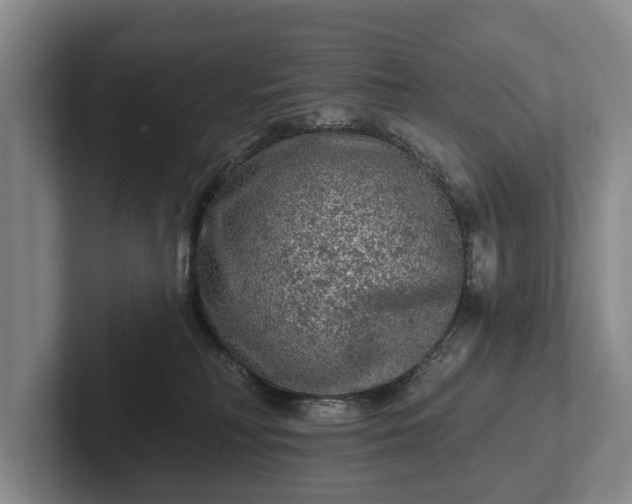 X0000102460230200808151414