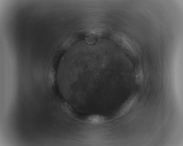 X0000102460231200808151414