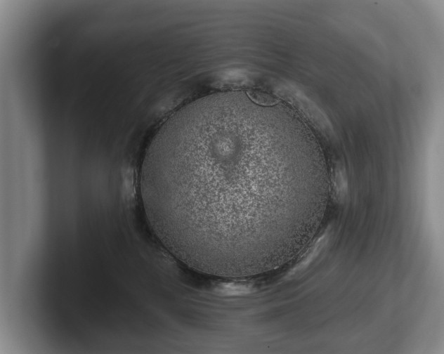 X0000102460232200808151414