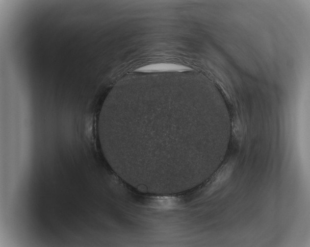 X0000102460233200808151414