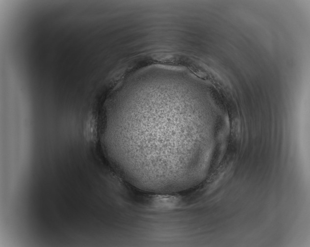 X0000102460234200808151414