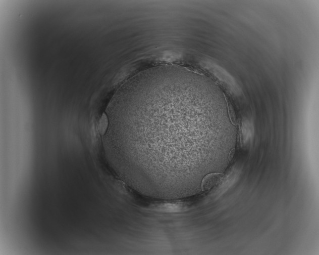 X0000102460236200808151414