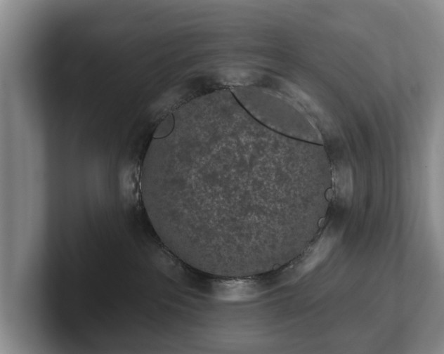 X0000102460237200808151414