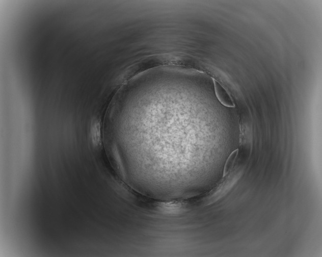 X0000102460238200808151414