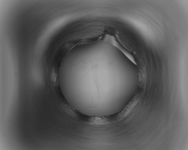 X0000102460239200808151414