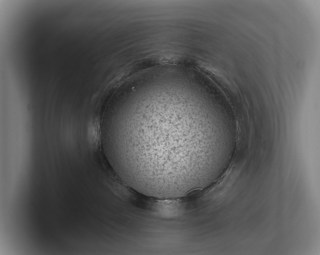 X0000102460240200808151414