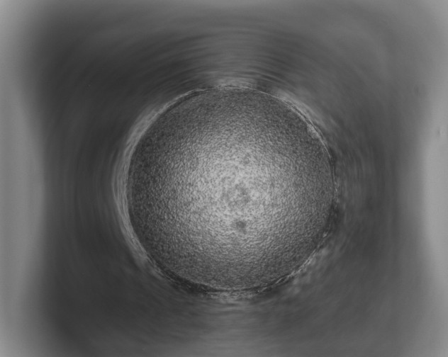 X0000102460241200808151413