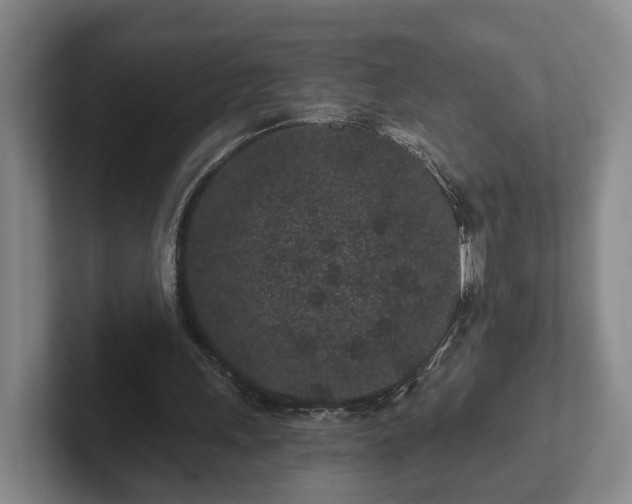 X0000102460243200808151413