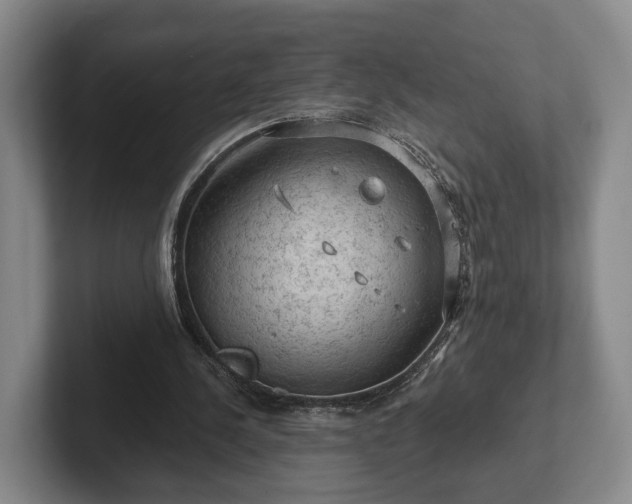 X0000102460244200808151413