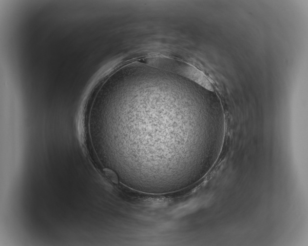 X0000102460245200808151413