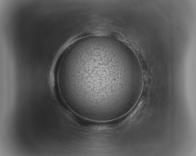 X0000102460246200808151413