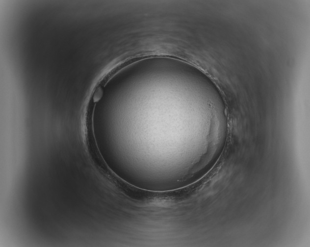 X0000102460248200808151413