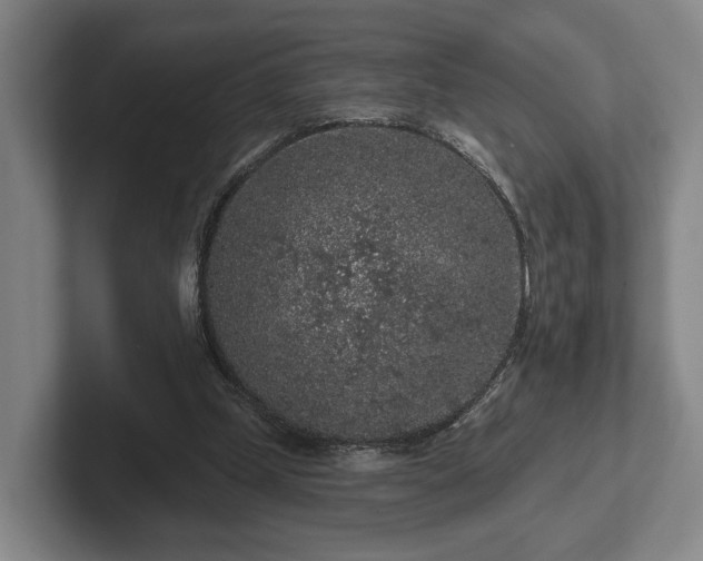 X0000102460249200808151413