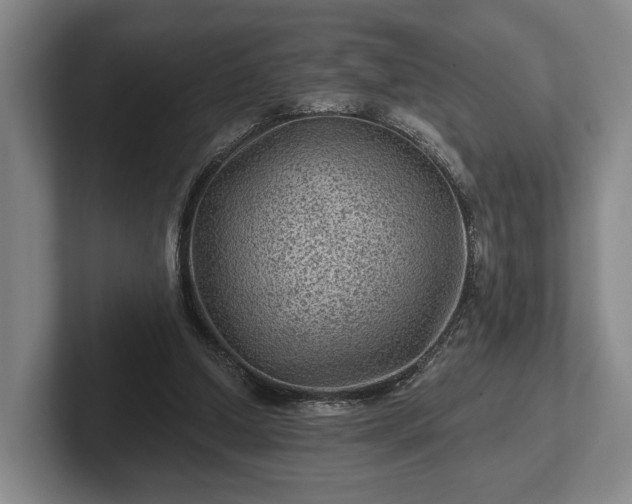 X0000102460250200808151413