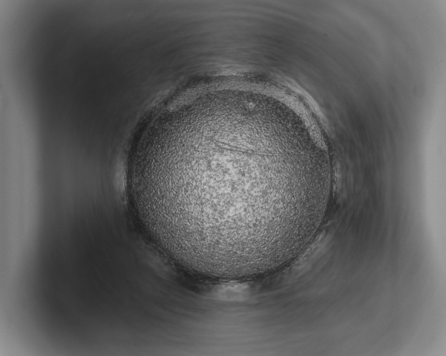 X0000102460257200808151413