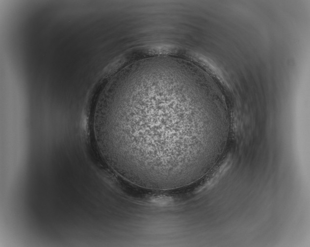 X0000102460258200808151413