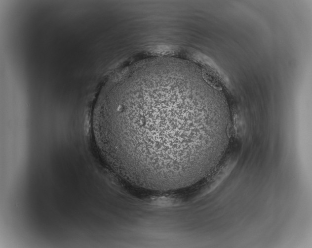 X0000102460259200808151413