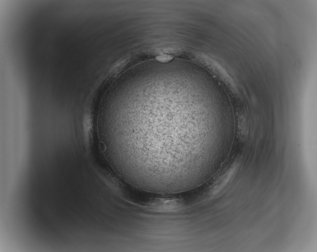 X0000102460260200808151413