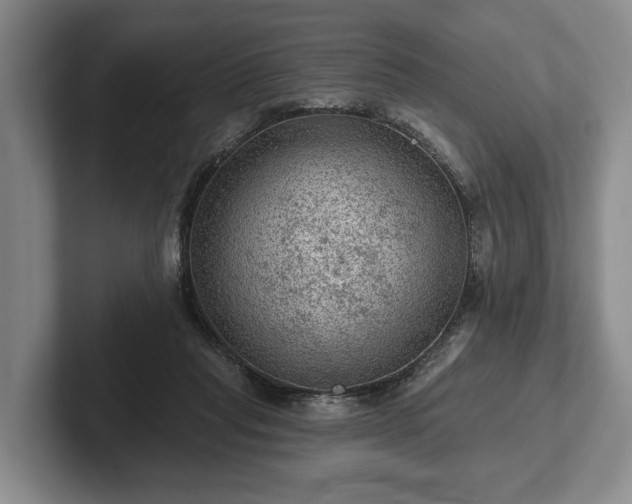 X0000102460261200808151413