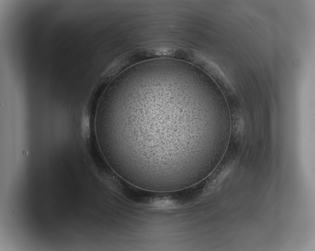 X0000102460262200808151413