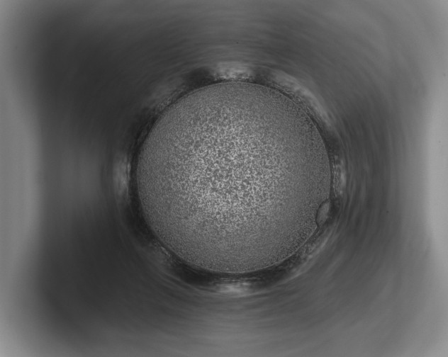 X0000102460263200808151413