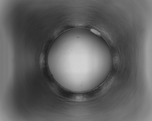 X0000102460264200808151413