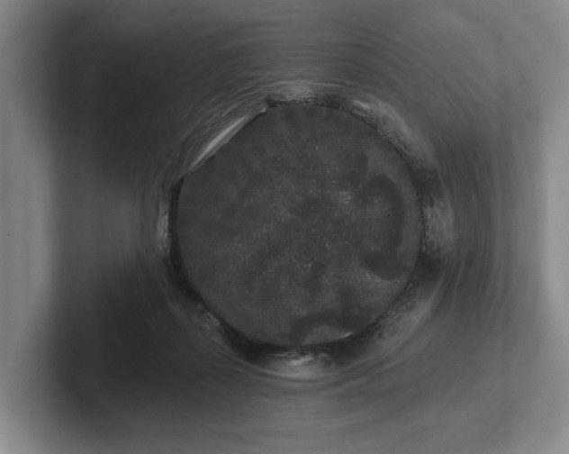 X0000102460267200808151413