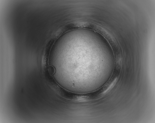 X0000102460268200808151413