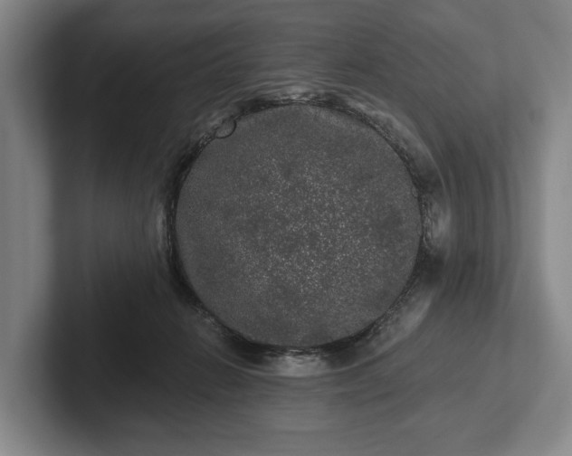 X0000102460270200808151413