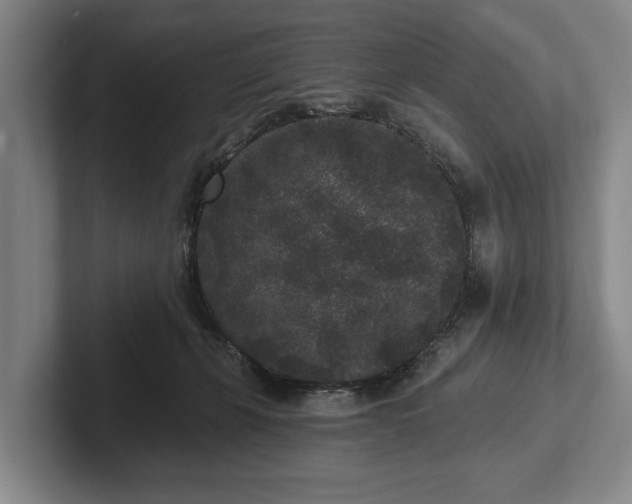 X0000102460271200808151413