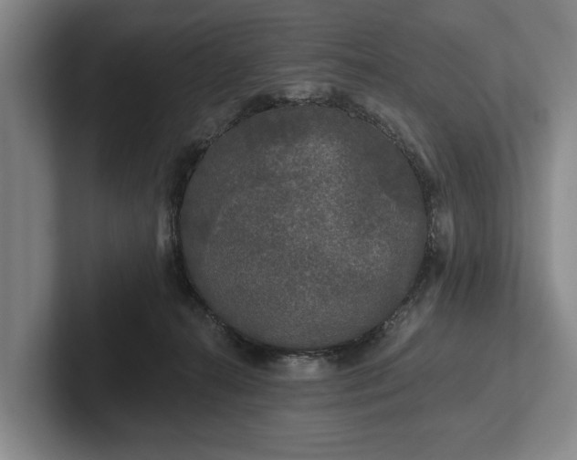 X0000102460272200808151413