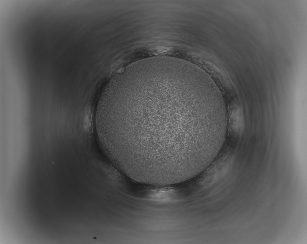 X0000102460274200808151414