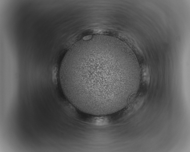 X0000102460275200808151414