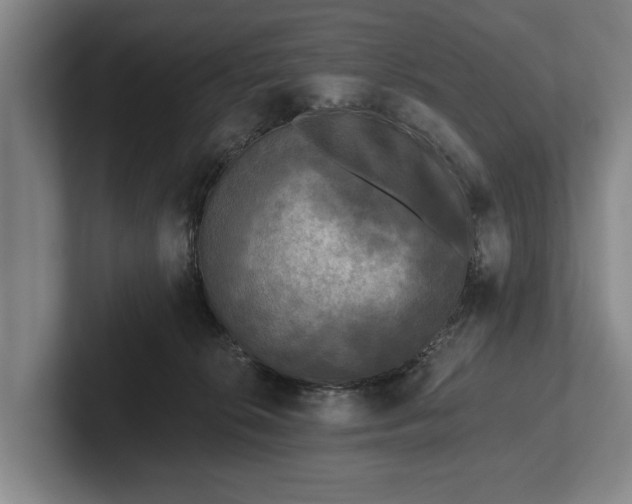 X0000102460276200808151414