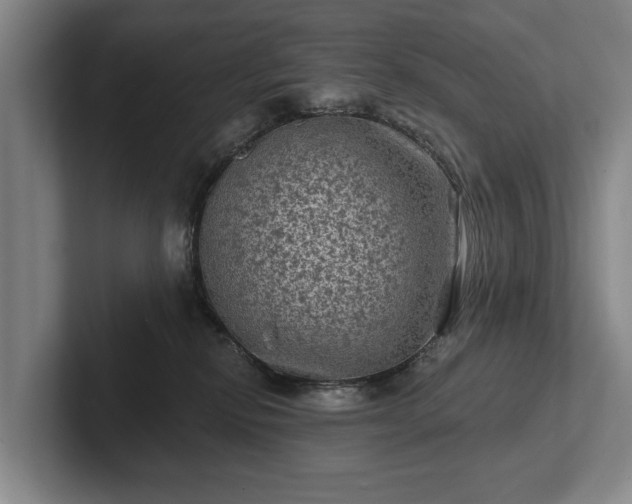 X0000102460278200808151414