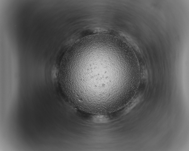 X0000102460281200808151414