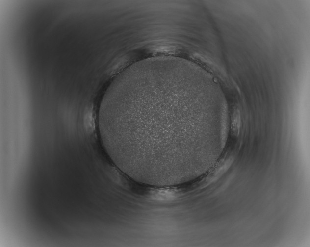 X0000102460282200808151414