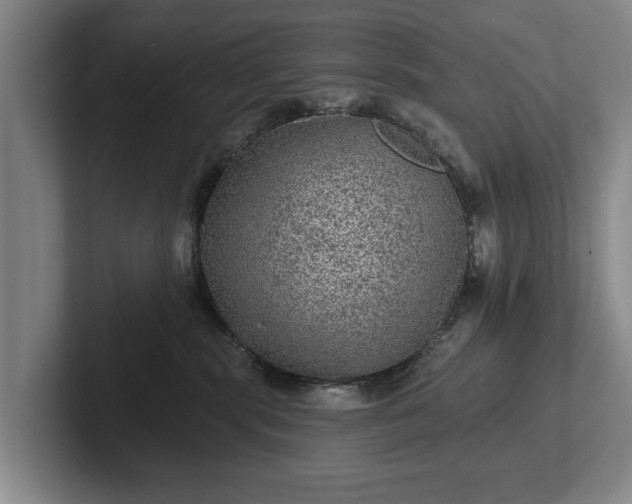 X0000102460283200808151414