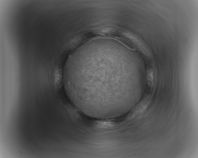 X0000102460284200808151414