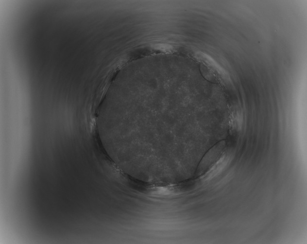 X0000102460285200808151414