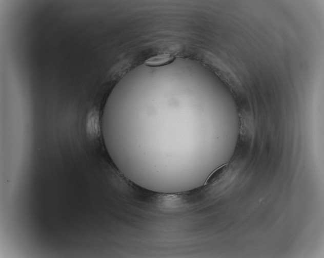 X0000102460287200808151414