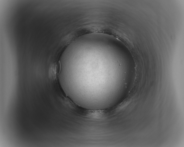 X0000102460288200808151414