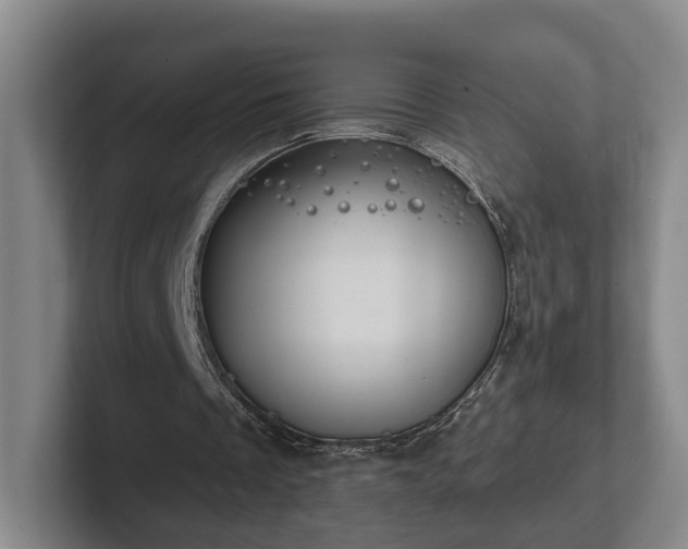 X0000102460289200808151413