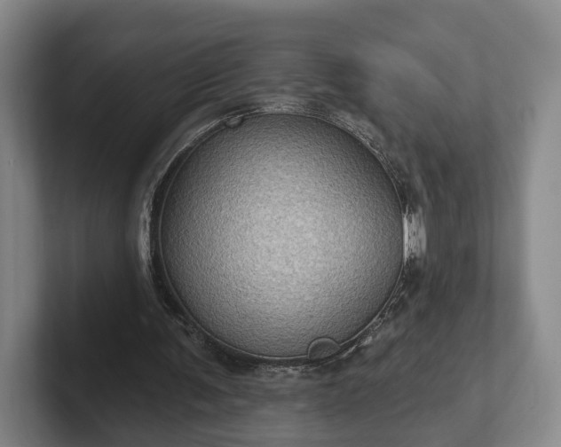 X0000102460291200808151413