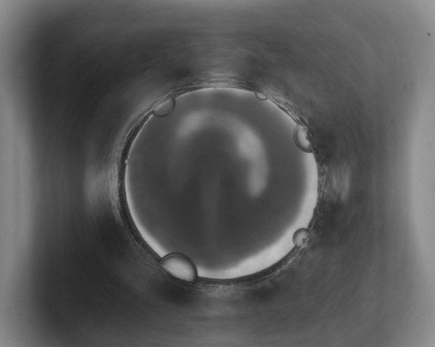 X0000102460293200808151413