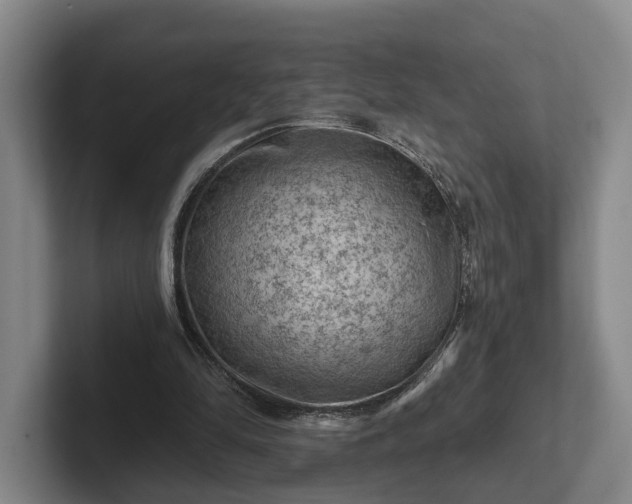 X0000102460294200808151413