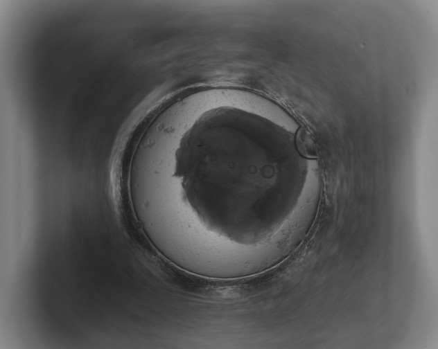 X0000102460295200808151413